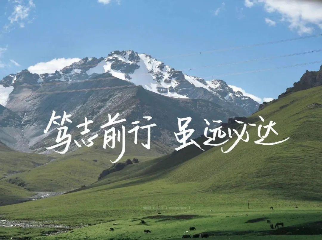 每日一图